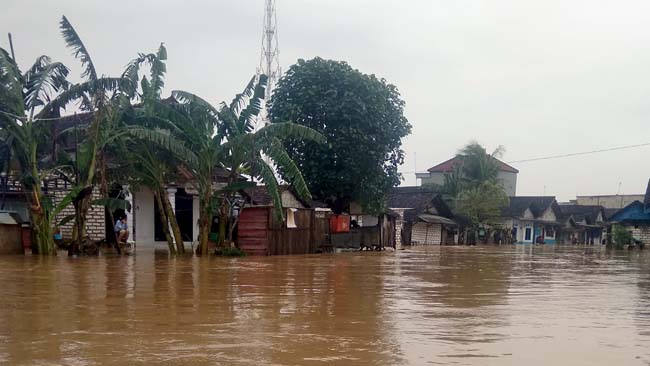 Banjir yang menggenangi Desa Brondong, Kecamatan Brondong, Kabupaten Lamongan, Senin(28/1/2019).