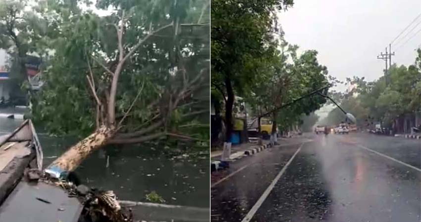 Hujan Deras, Pohon Tumbang Terjang PJU, Mobil, Tower dan Atap Kantor Desa