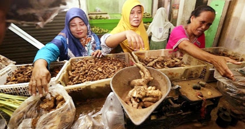 Harga Kunyit dan Jahe di Lamongan Kian Melejit, Dipicu Permintaan yang Meningkat