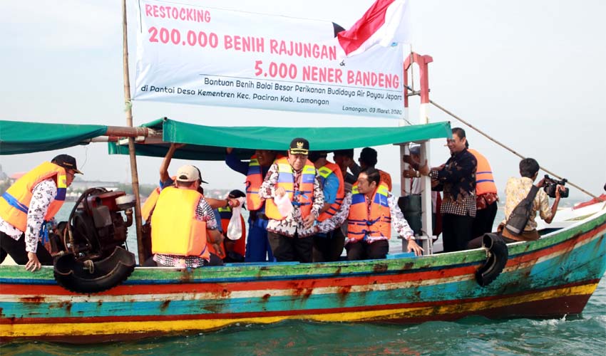 Pemkab Lamongan dan BBPBAP Jepara Lakukan Restocking dan Tebar 200 Ribu Benih Rajungan