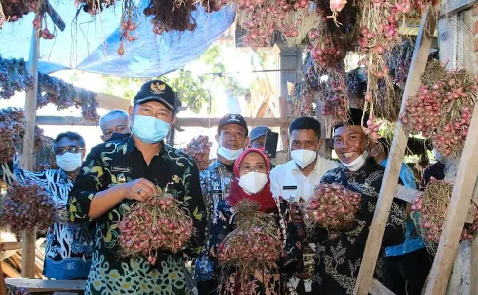 Manfaatkan Lahan Tidur, Pemkab Lamongan Inovasikan Tanam Bawang Merah di Kawasan Rawa