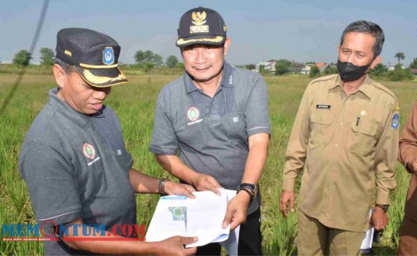 Revitalisasi Lapangan Gajah Mada, Pemkab Lamongan Gelontor Total Anggaran Rp 3 Miliar