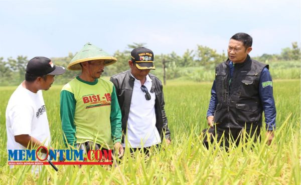 Bupati Yuhronur Pastikan Stok Beras di Lamongan Aman